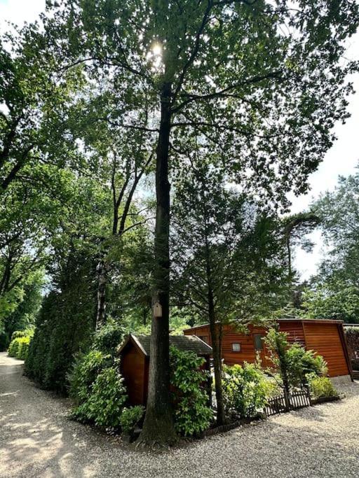Houten Chalet Op 5 Sterren Park Met Zwembad Ermelo Extérieur photo